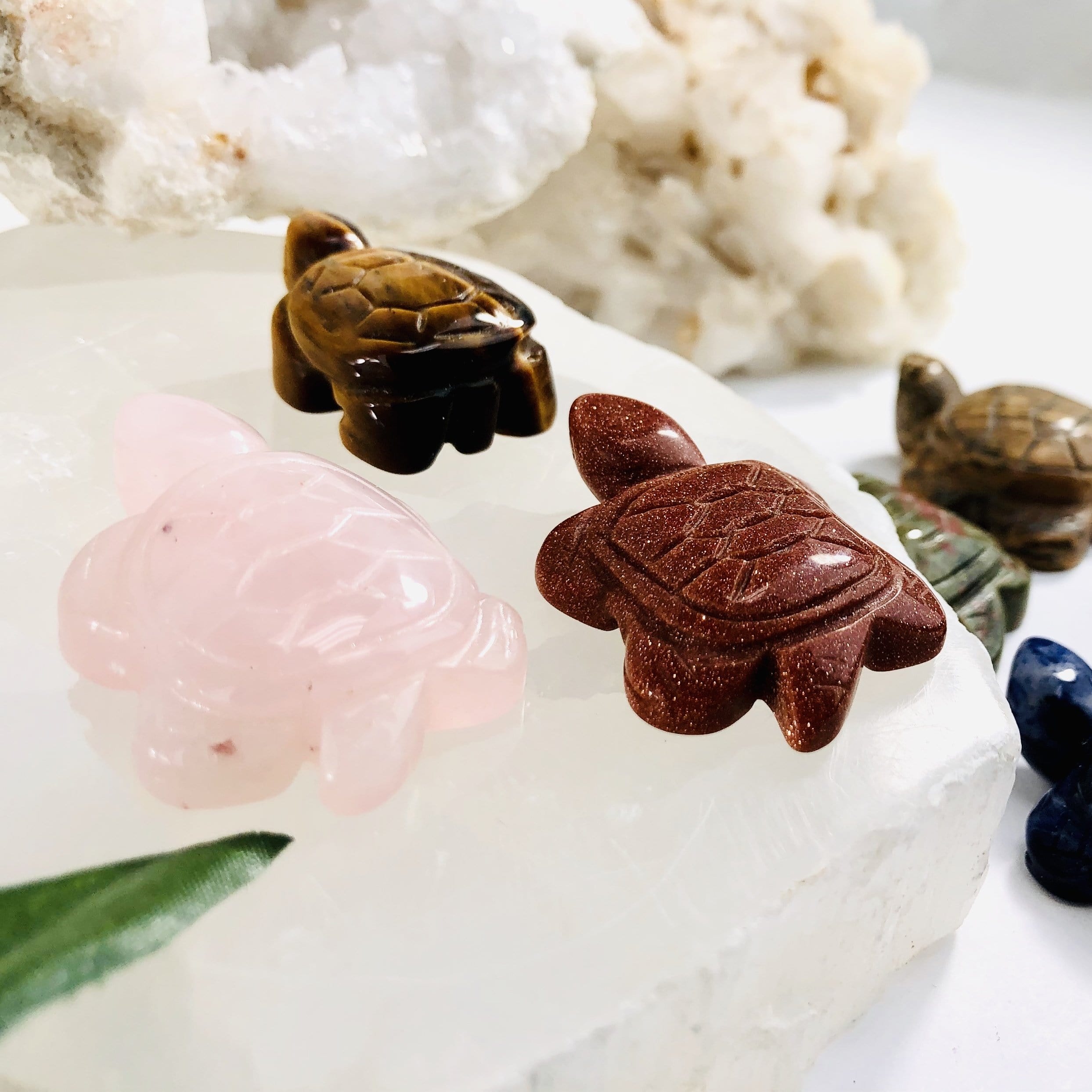 Turtle Gemstone Cabochons - Large (RK33B30)