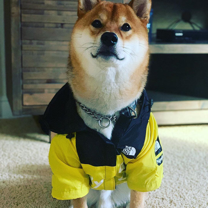 Fashion Dog Waterproof Jacket