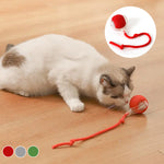 Indoor Cat Interactive Ball