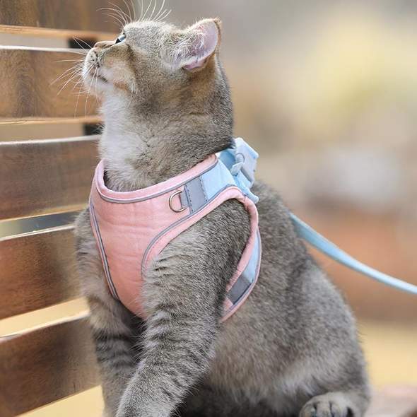 Cat Vest Harness and Leash Set