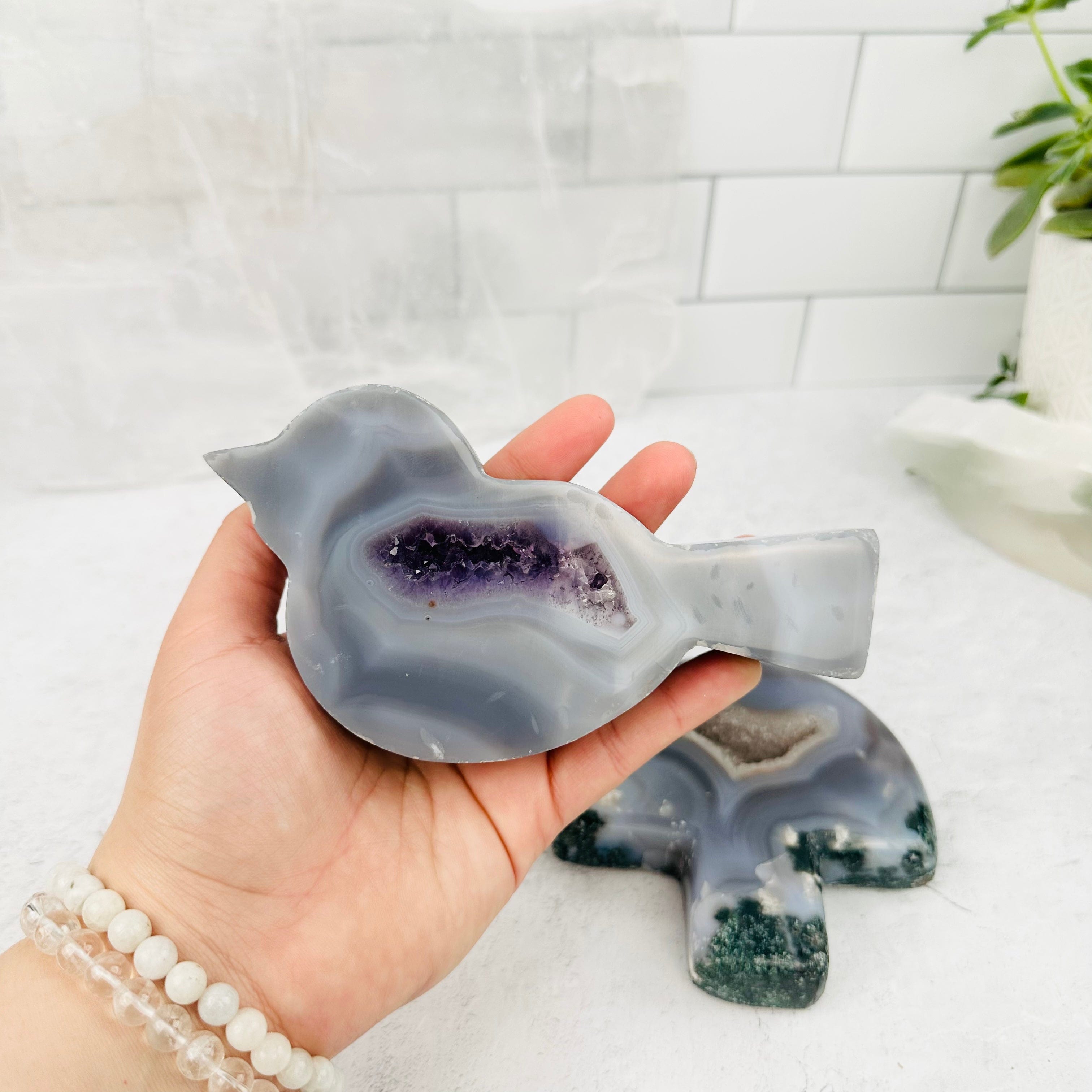 Agate Druzy Wildlife Set - YOU GET ALL