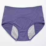 New Upgrade High Waist Leak Proof Panties