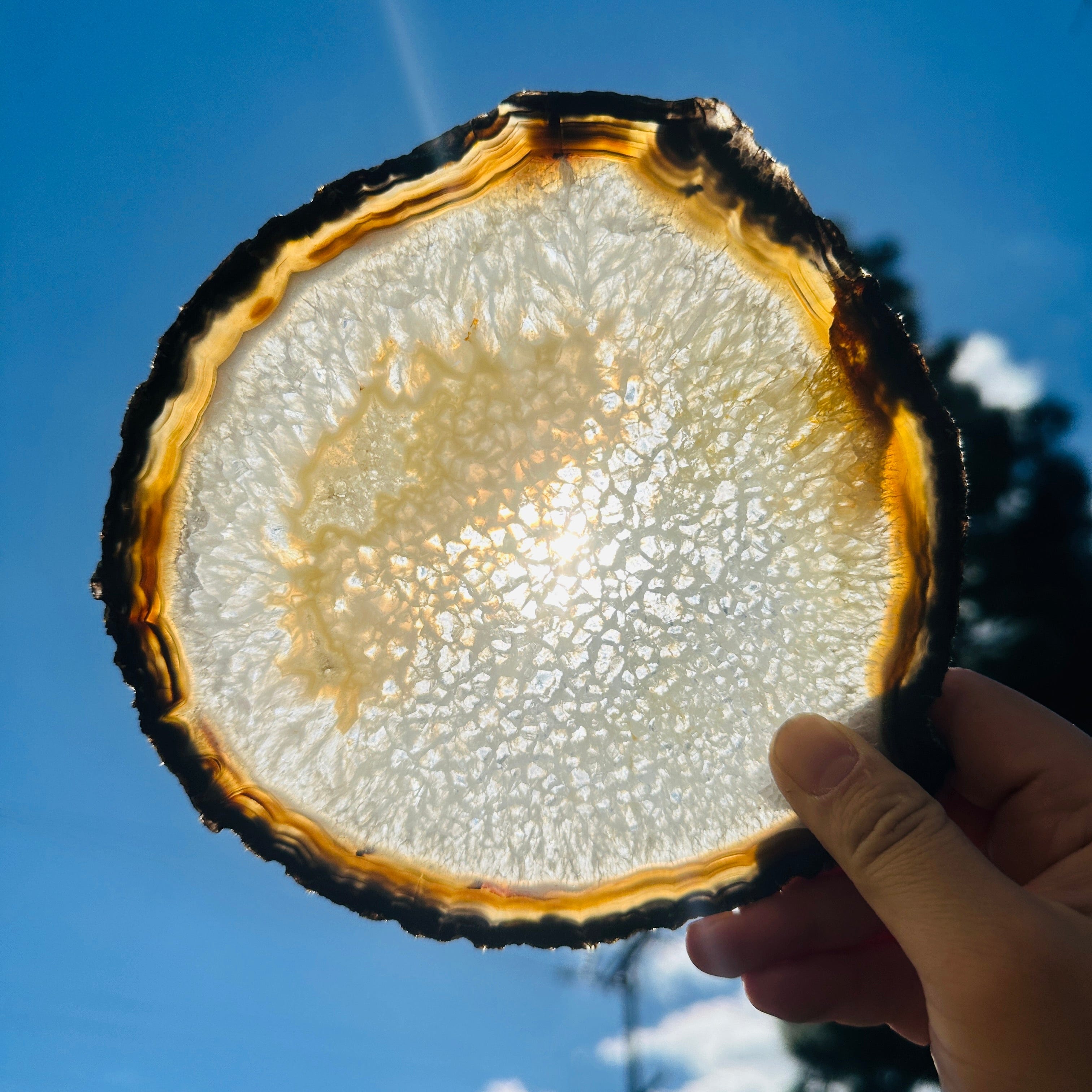 Agate Slice Set - Set of Five Agate Crystals Extra Quality Agates