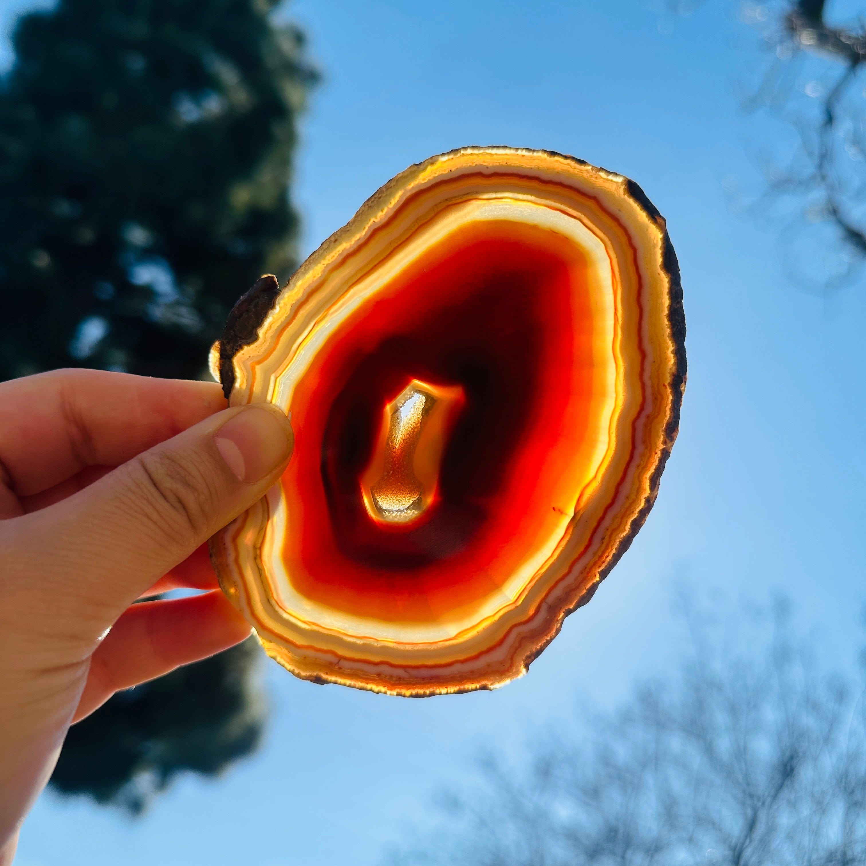 Agate Slice Set - Set of Eight Agate Crystal Coasters