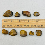 1 lb Bag Tiger Eye Crystal Small Tumbled Stones