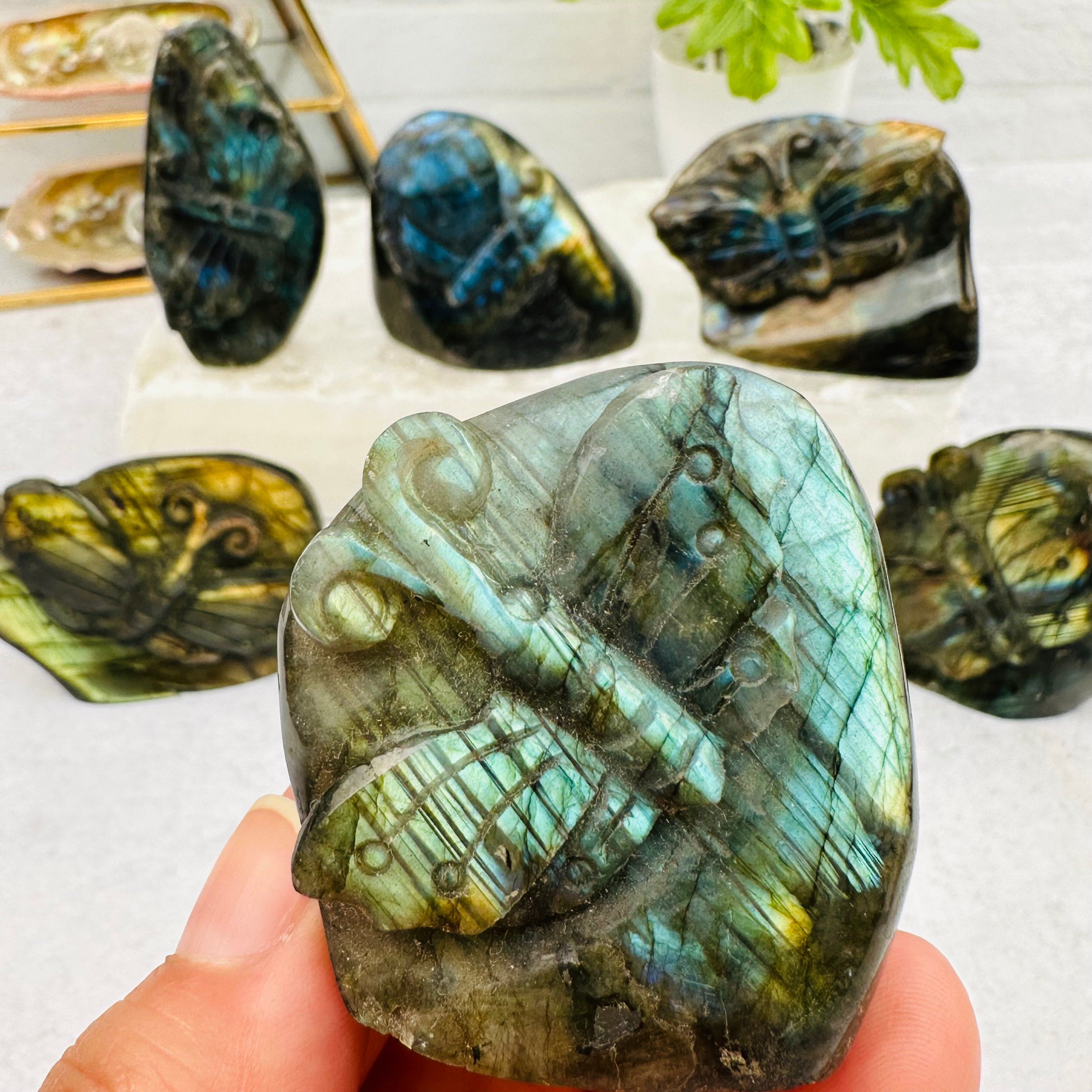 Carved Crystal Labradorite Butterfly Cut Base - You Choose -