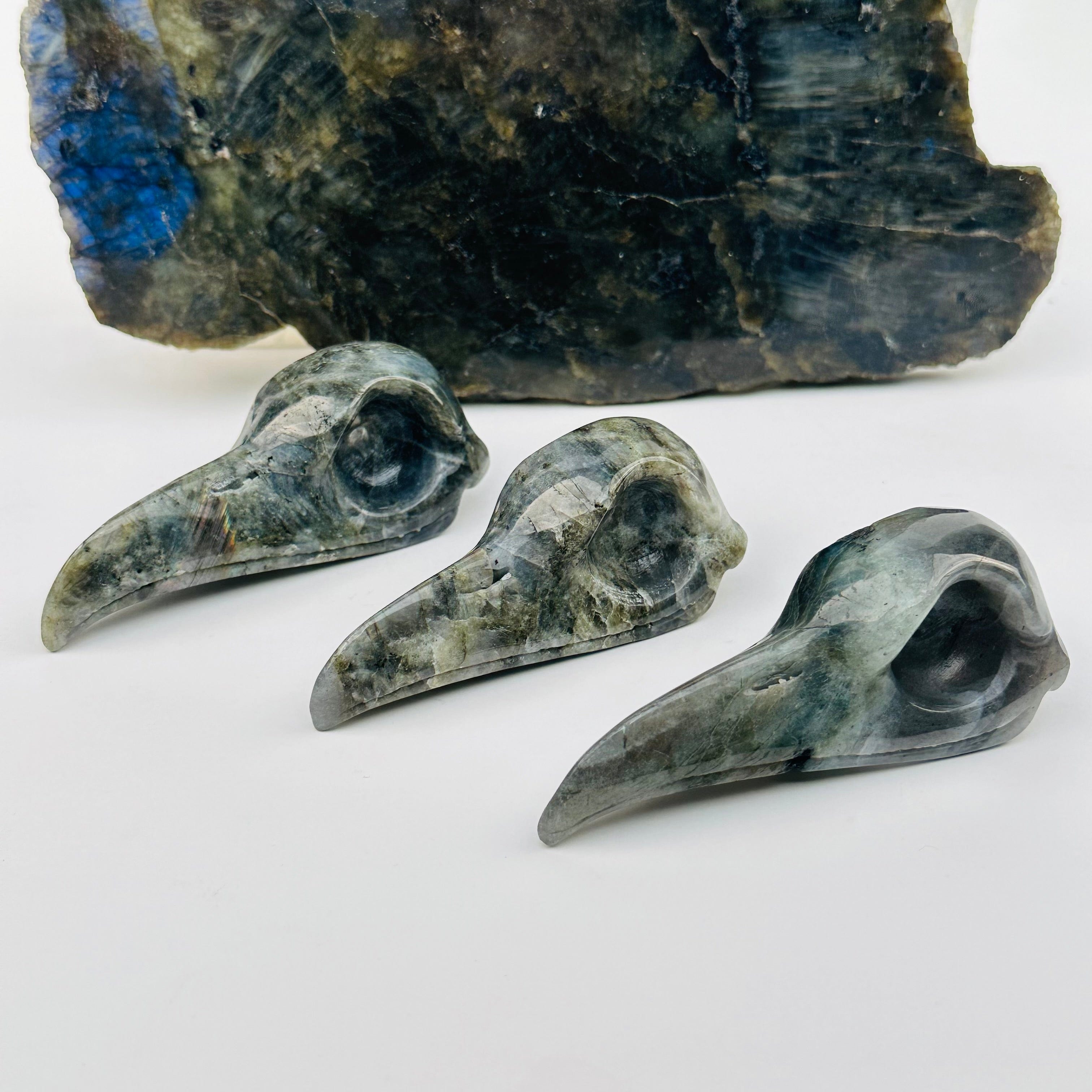 Carved Labradorite Crystal Raven Skull Head