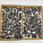 1 Flat box of Botryoidal Hematite Freeform Crystal Minerals 50-90 pcs Bulk Minerals