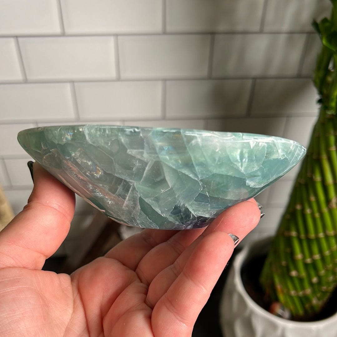 Fluorite Polished Bowl from Mexico